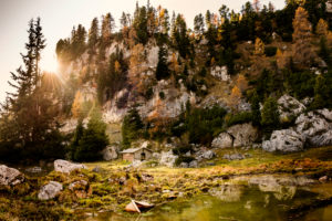 Late autumn In the Rofan am Achensee, Austria, small hut in the autumn forest Late autumn In the Rofan am Achensee, Austria, small hut in the autumn forest